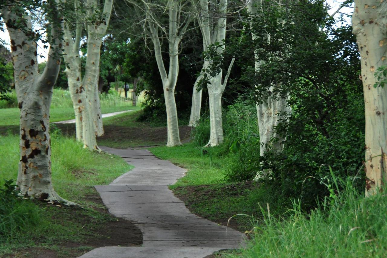 האזיביו Kruger Park Lodge Unit No. 608A מראה חיצוני תמונה