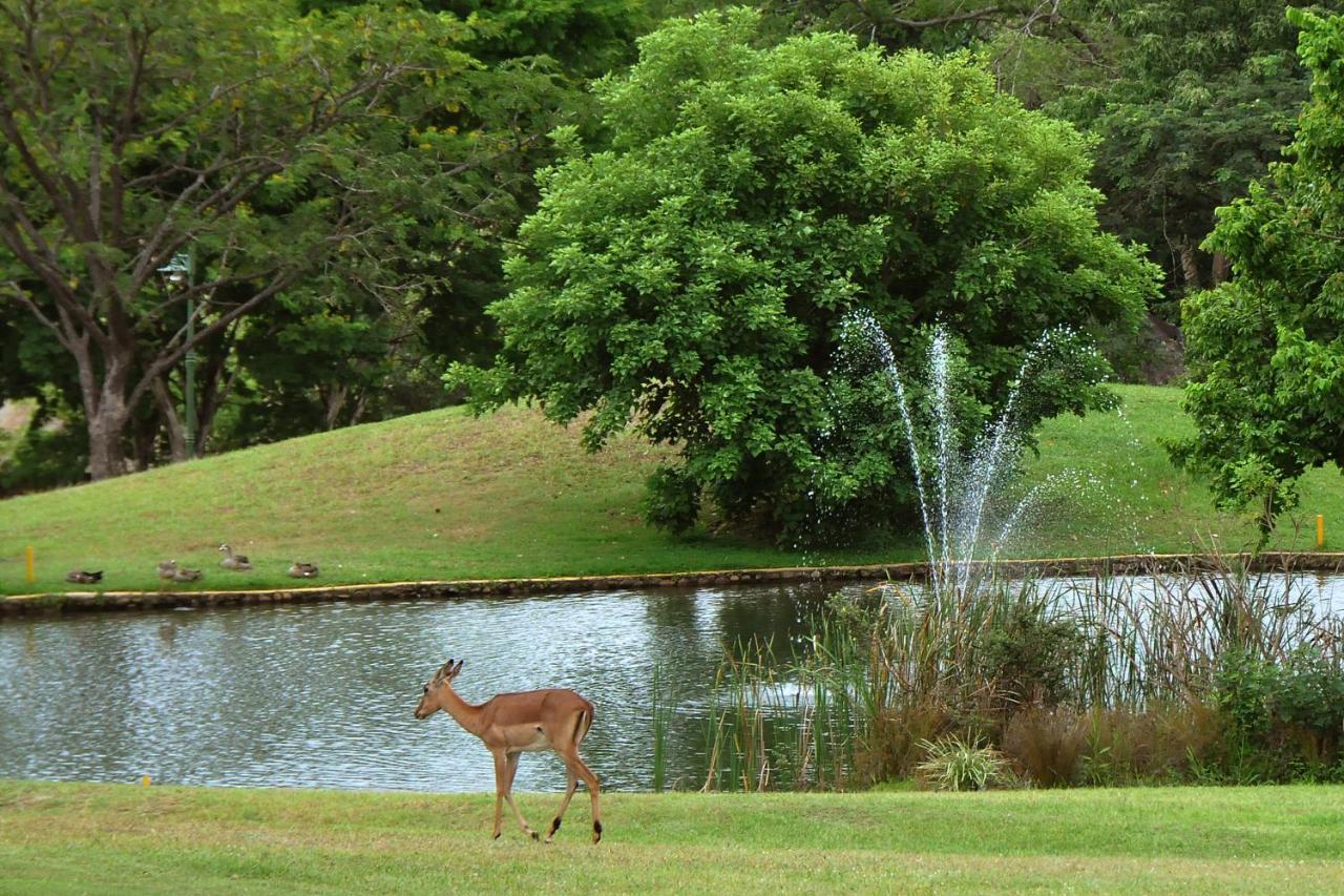 האזיביו Kruger Park Lodge Unit No. 608A מראה חיצוני תמונה